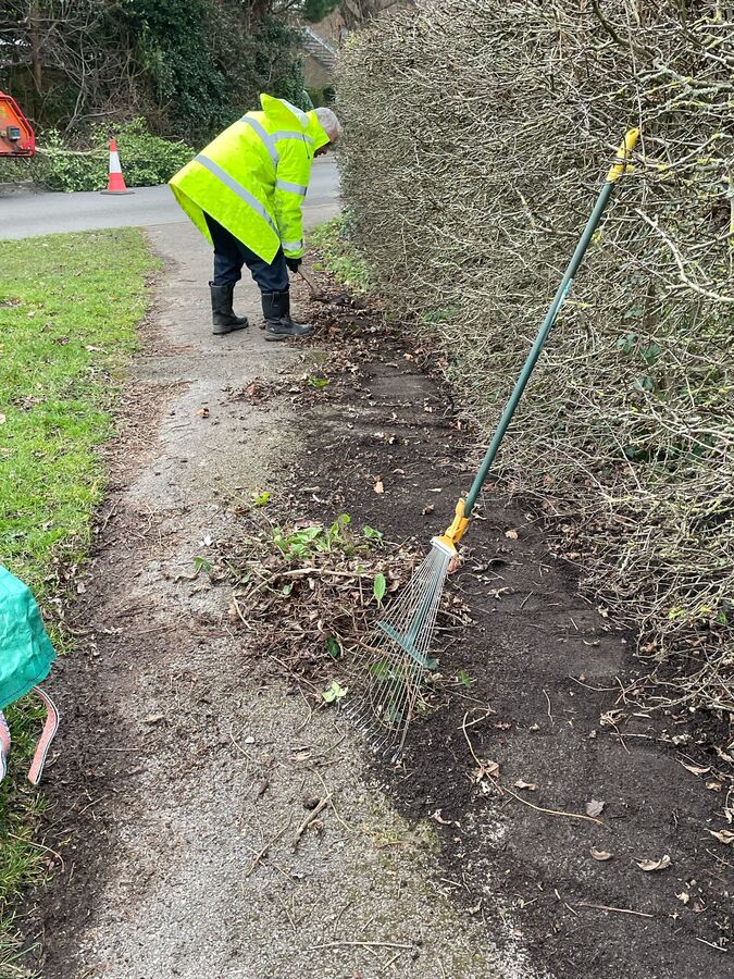 St Francis Verge Clearing  130225